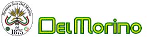 Logo Del Morino